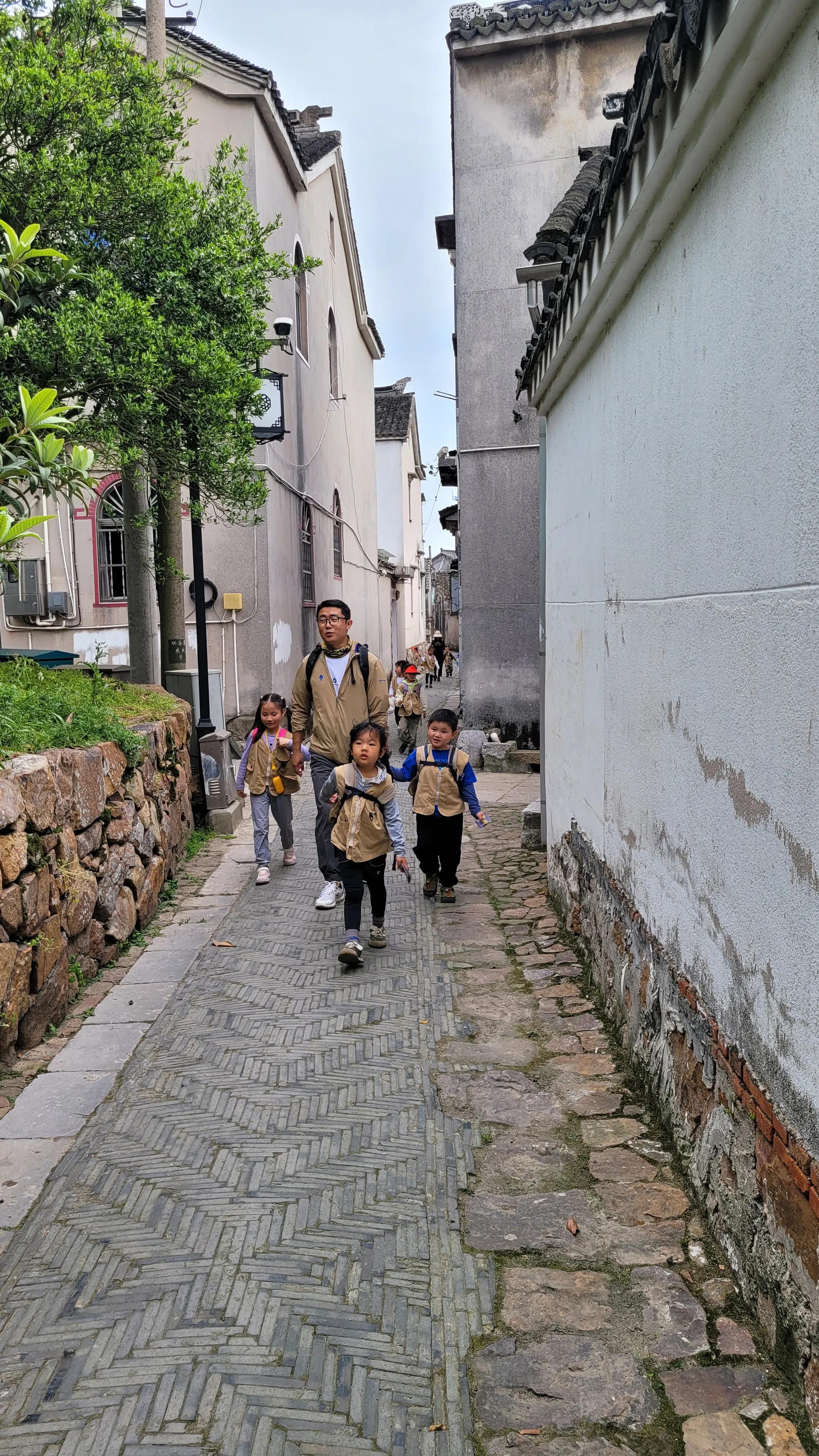 东山杨湾古村看杏叶,东山杨湾古村怎么进去