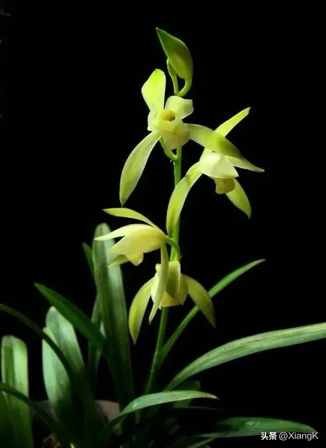 一天一个成语典故,一天一日的成语