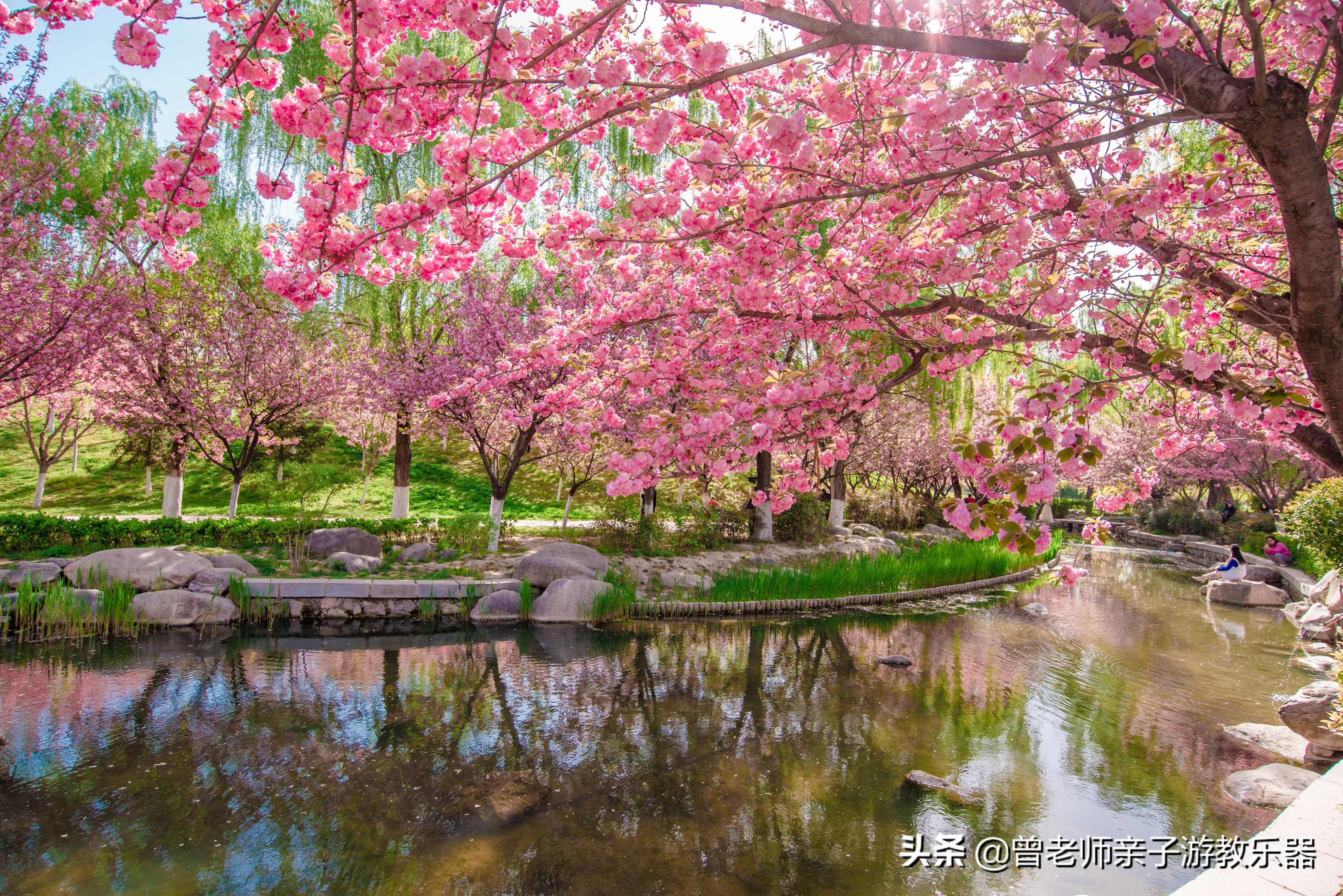 2022西安遛娃一日游的绝佳去处,2022年春节西安遛娃去哪玩最合适