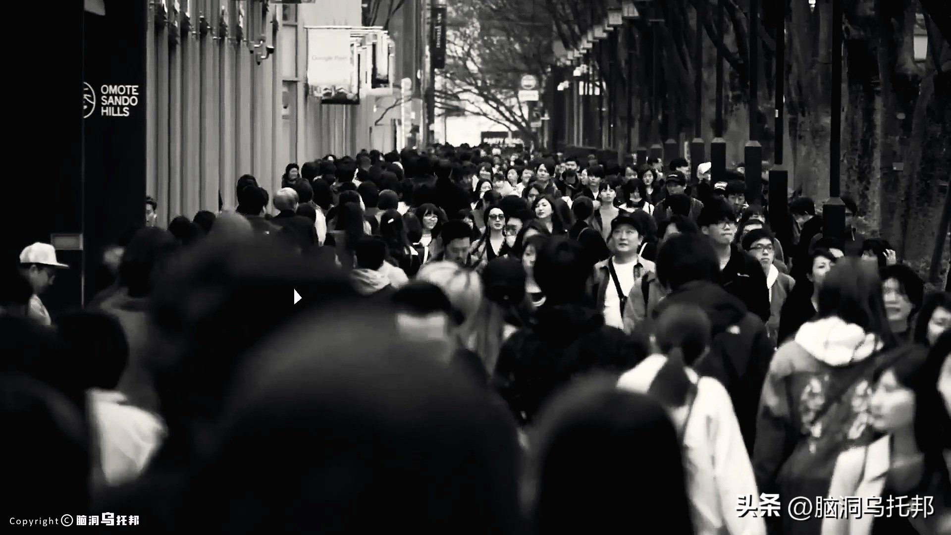 28岁名媛蔡天凤碎尸案最新进展,28岁名媛蔡天凤碎尸案何时判刑