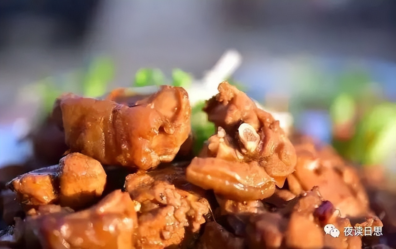 属兔的人和兔子有什么关系,兔年说兔的阅读理解