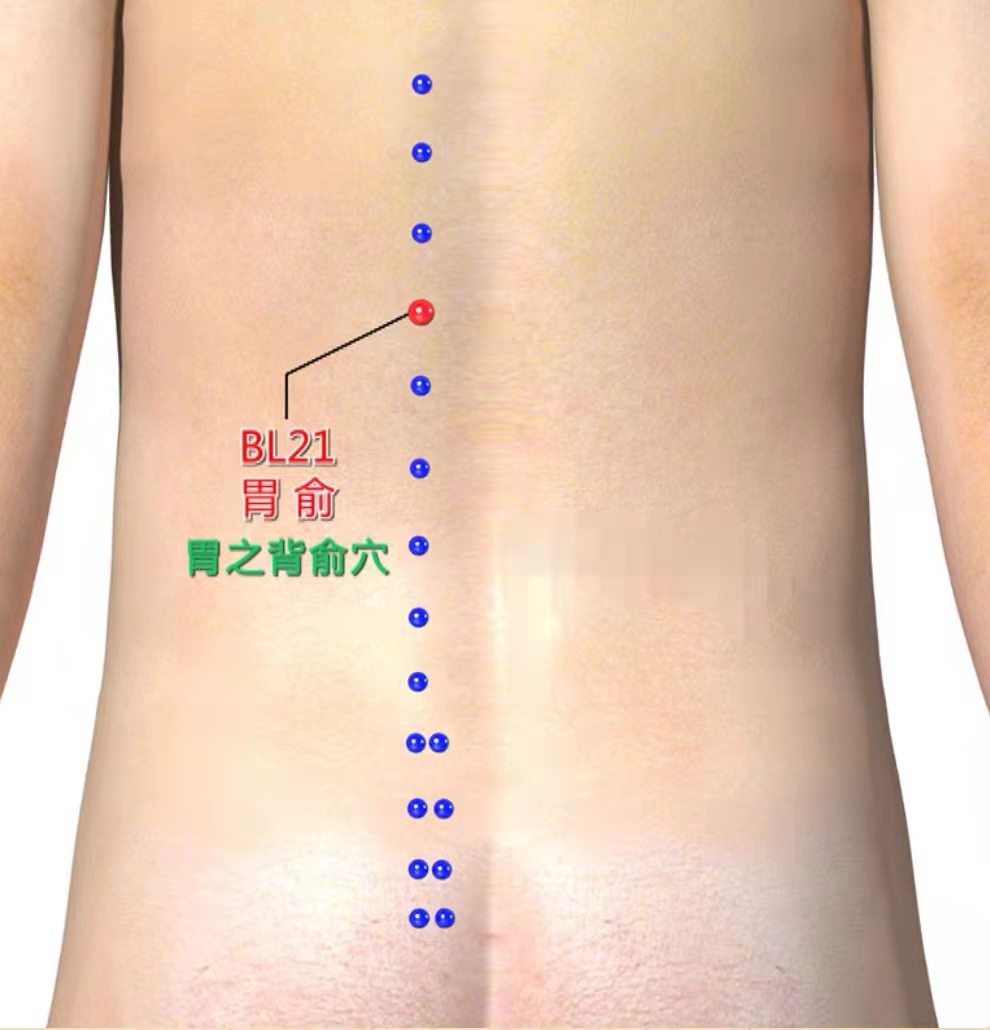 胃痛、呕吐、腹胀、肠鸣，试试按揉胃俞穴、养胃和胃效果佳