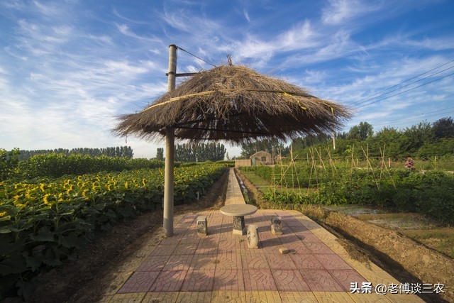 在上海租“共享菜地”种菜，一亩地10000元租金，贵吗？