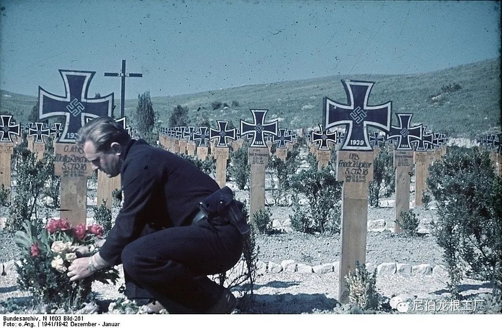 好收吾骨瘴江边全诗,好收吾骨瘴江边翻译