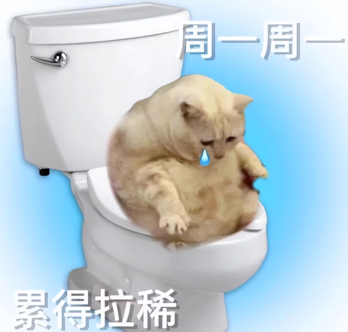 周一表情包全套,周一打起精神表情包