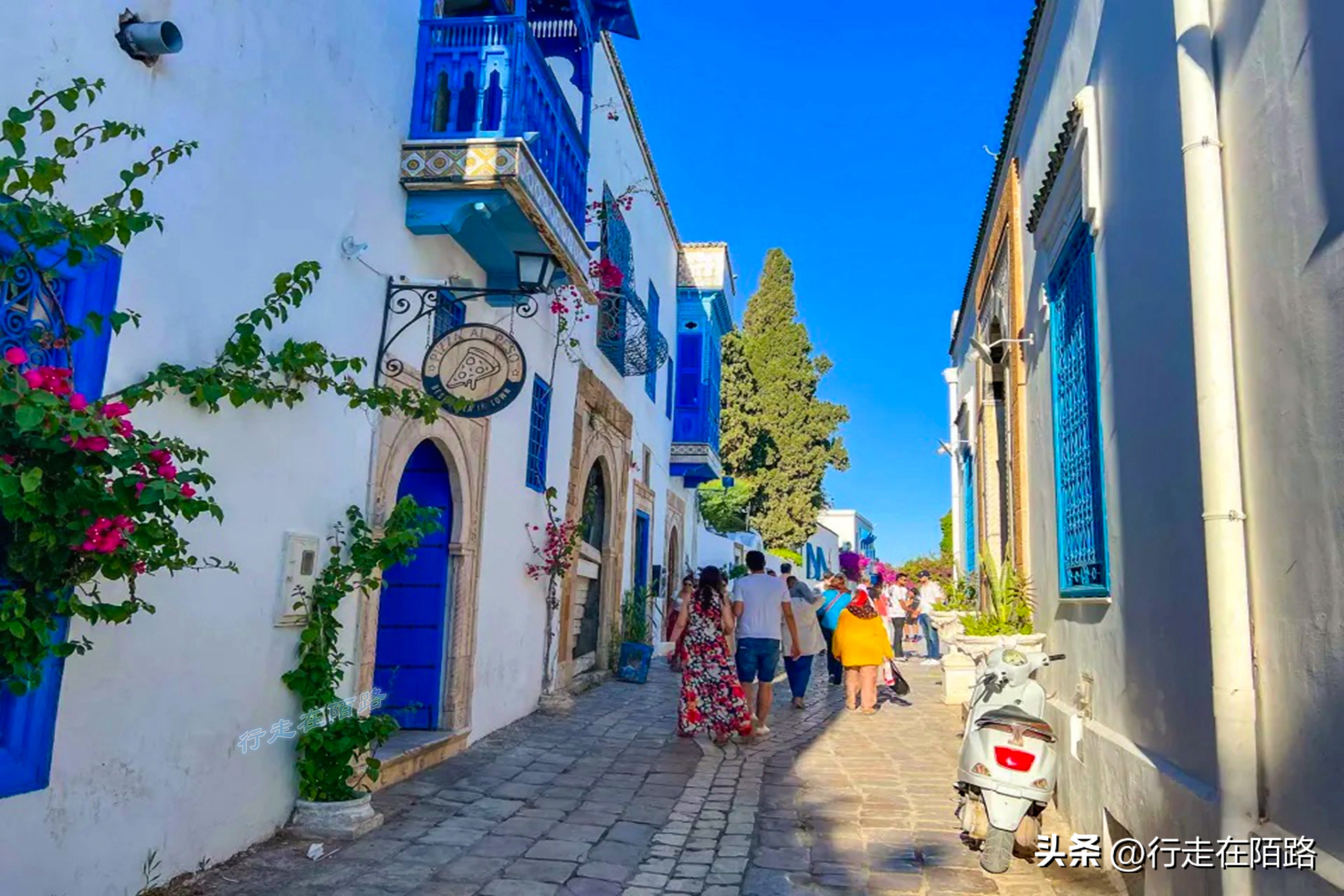 非洲突尼斯：不太一样的穆斯林国家，面积小人口少物价低