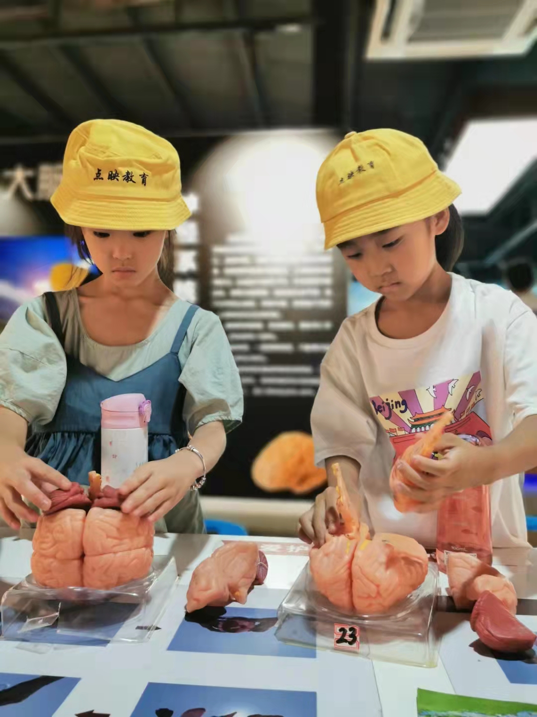 郑州周边游玩夏季景点攻略,郑州周边遛娃避暑游玩推荐景点