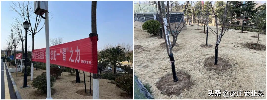 物业公司标杆项目评比,新区物业排行榜前十