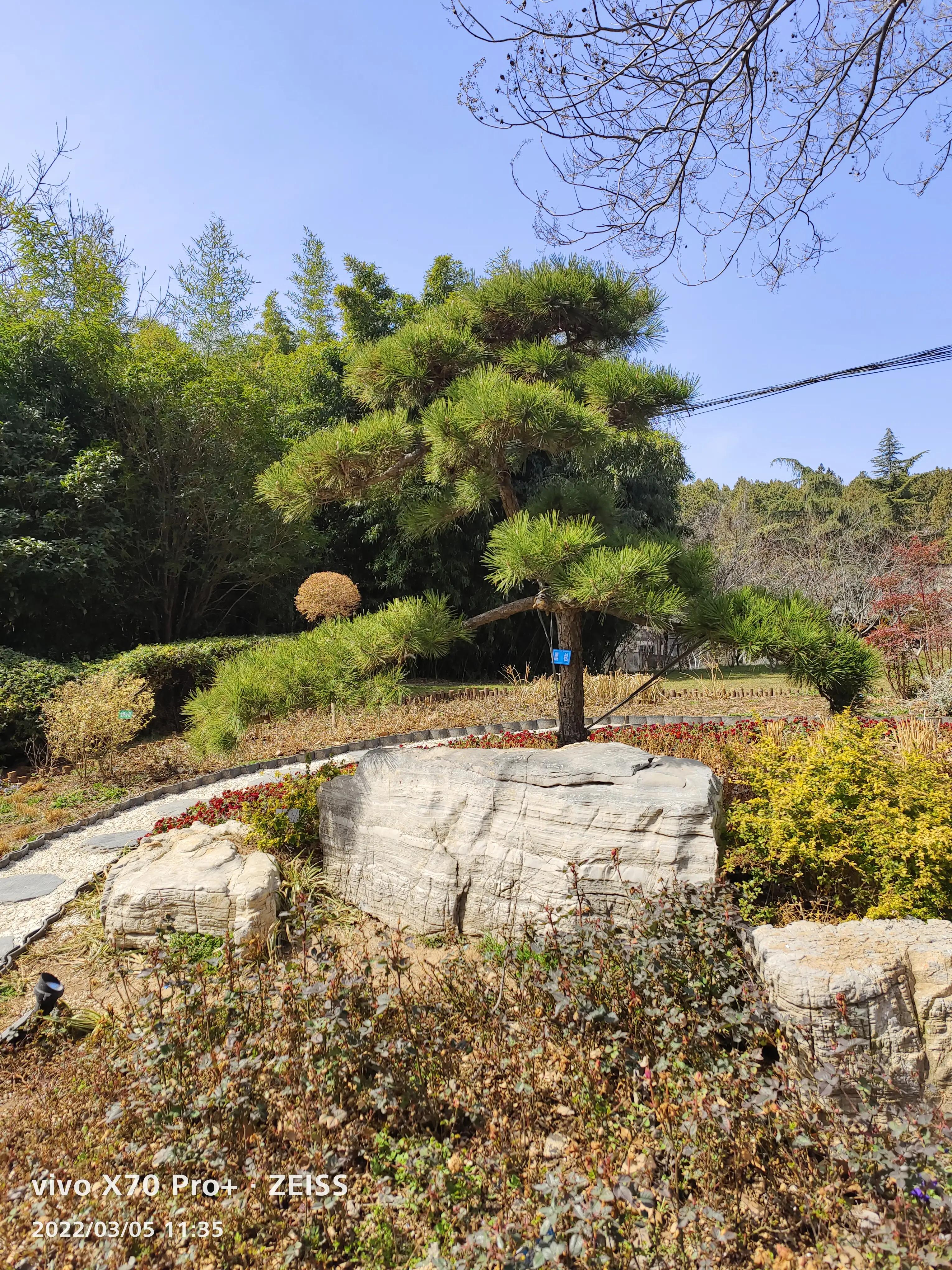 相山公园一日游,值得一去的山体景观公园