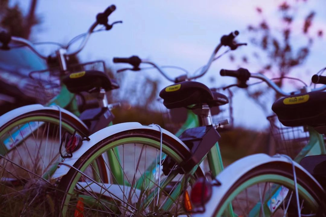 心动！那些藏在崇明民宿里的初秋小美好