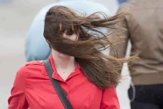 80张神奇偶然瞬间，环形闪电，海蛇和最毒石斑鱼互咬，骑骆驼拍照