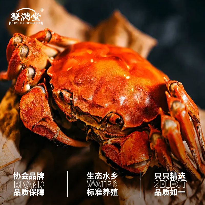 蟹满堂阳澄湖大闸蟹南京专卖店,唐山阳澄湖大闸蟹专卖店