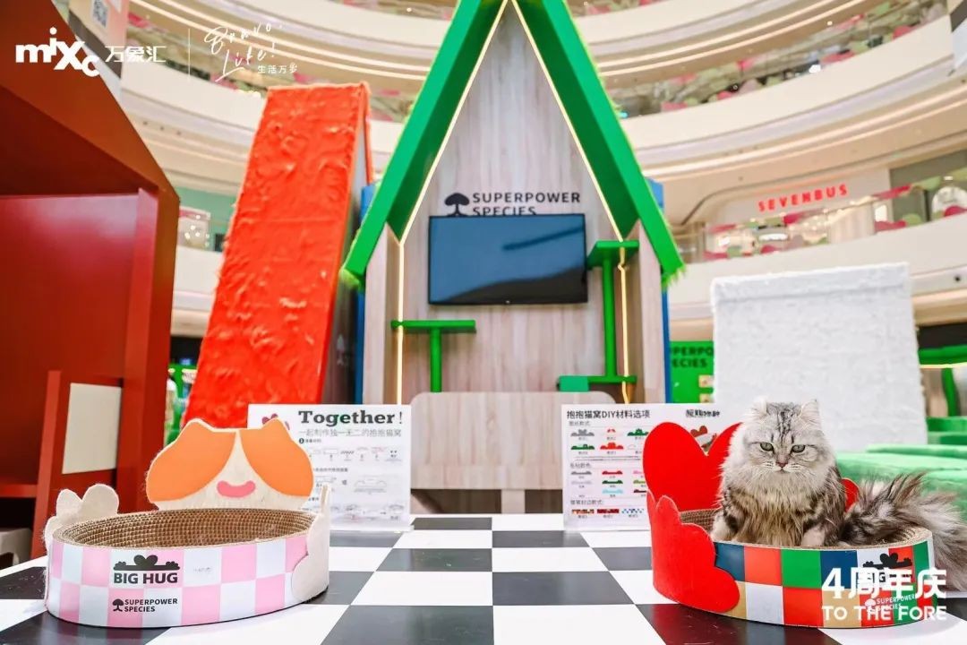 深蹲45岁还能练吗,深蹲5x5腿会不会粗