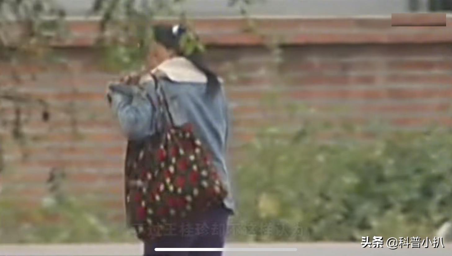 小伙救蛇后多年后蛇报恩,女子救蛇多年后长成巨蛇