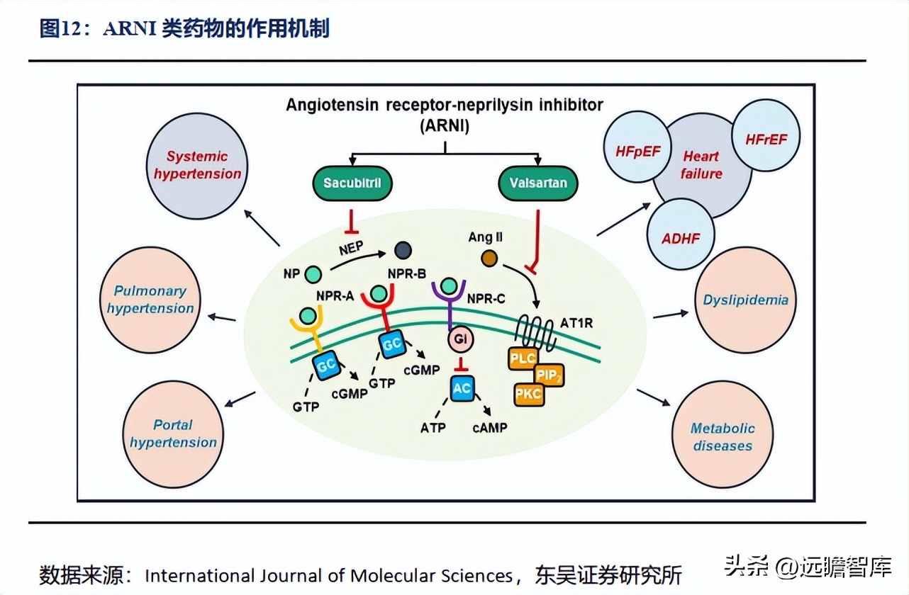 信立泰的核心竞争力,信立泰创新能力