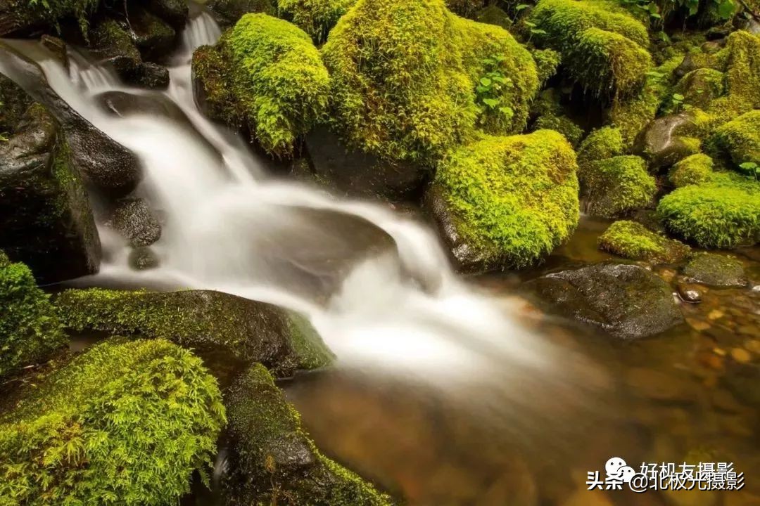 不对焦也能拍出清晰的照片,原相机拍出高质感的照片技巧