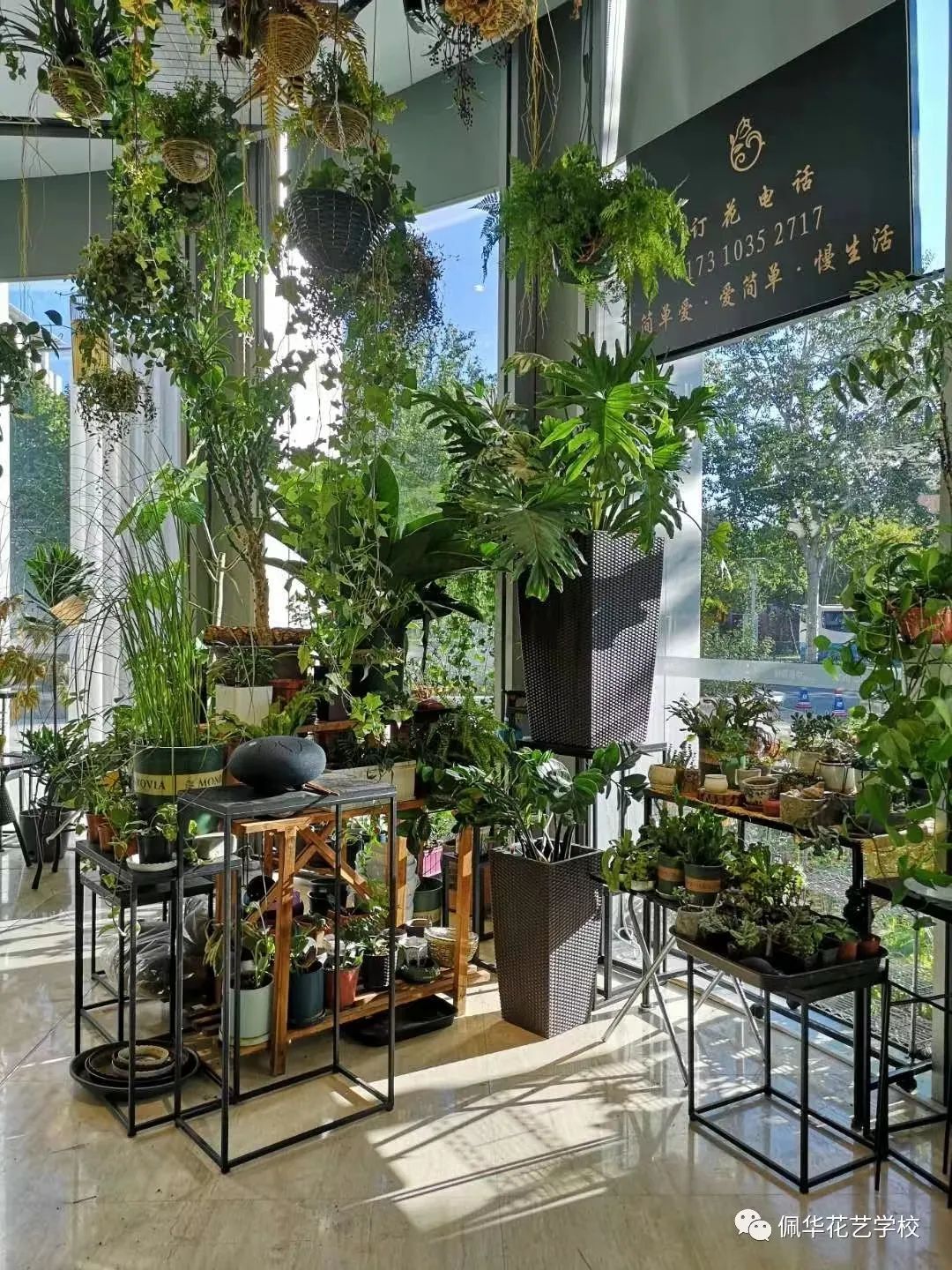 鐤儏涓嬬殑鍖椾含鑺卞簵,鍖椾含鐤儏鑺卞簵鍏抽棬浜嗗悧