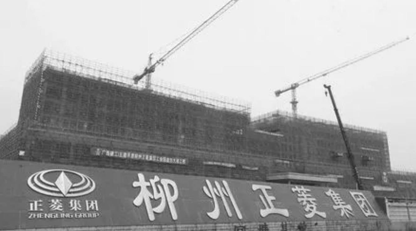 广西首富廖荣纳,广西柳州正菱集团廖荣纳