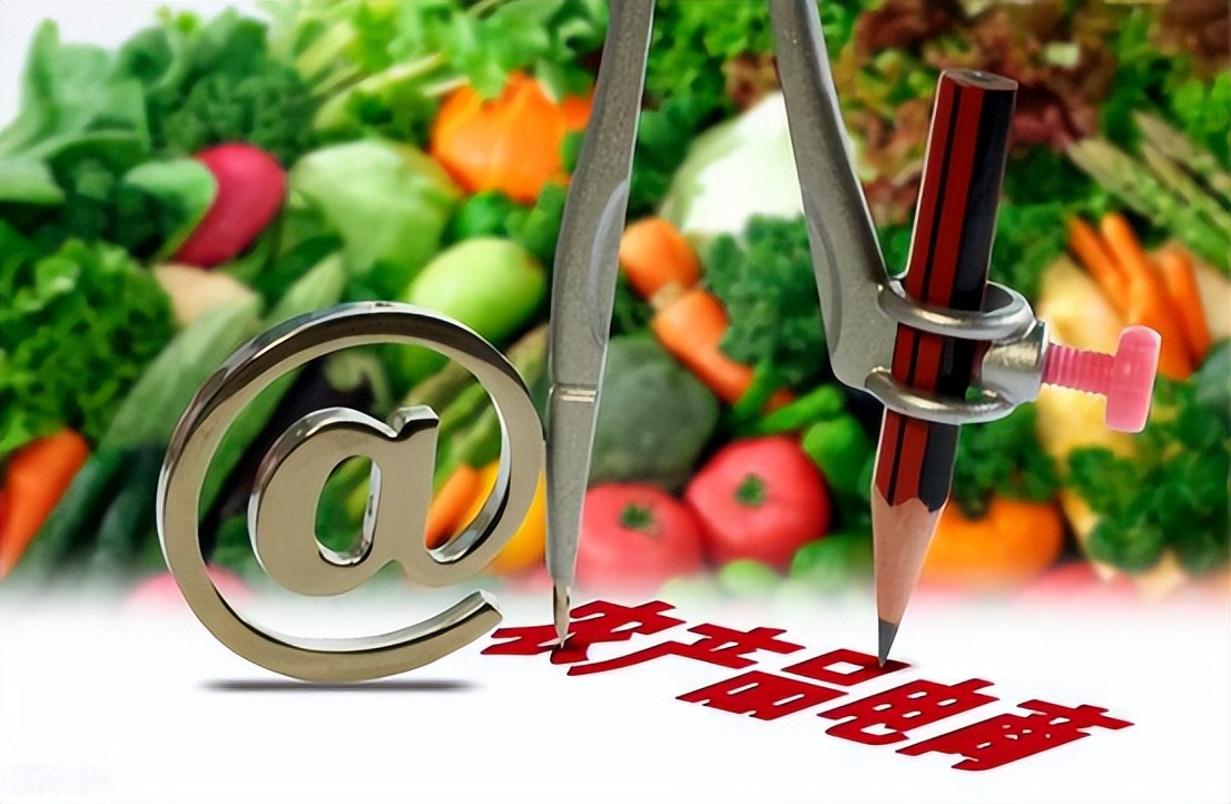 乡村旅游电商发展规划,乡村旅游互联网模式有哪些