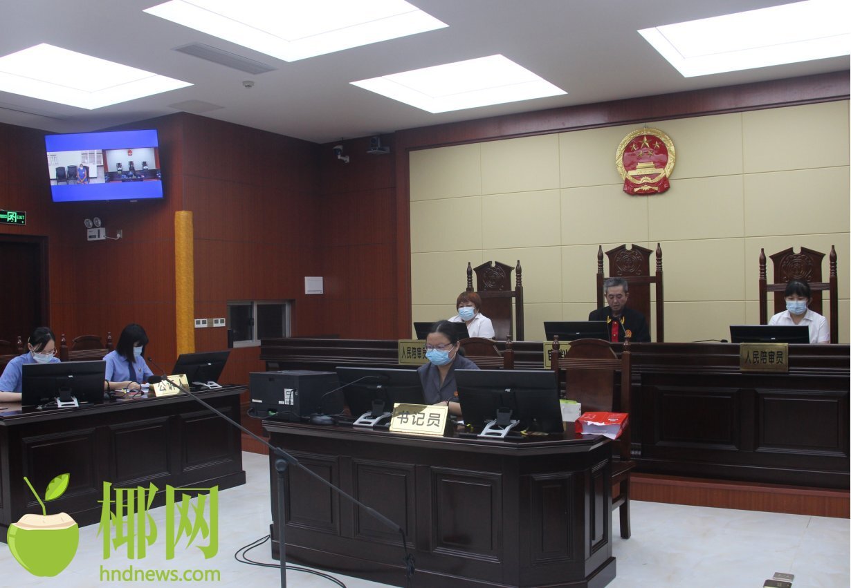 老人以房养老被骗案件,海南房地产诈骗案例