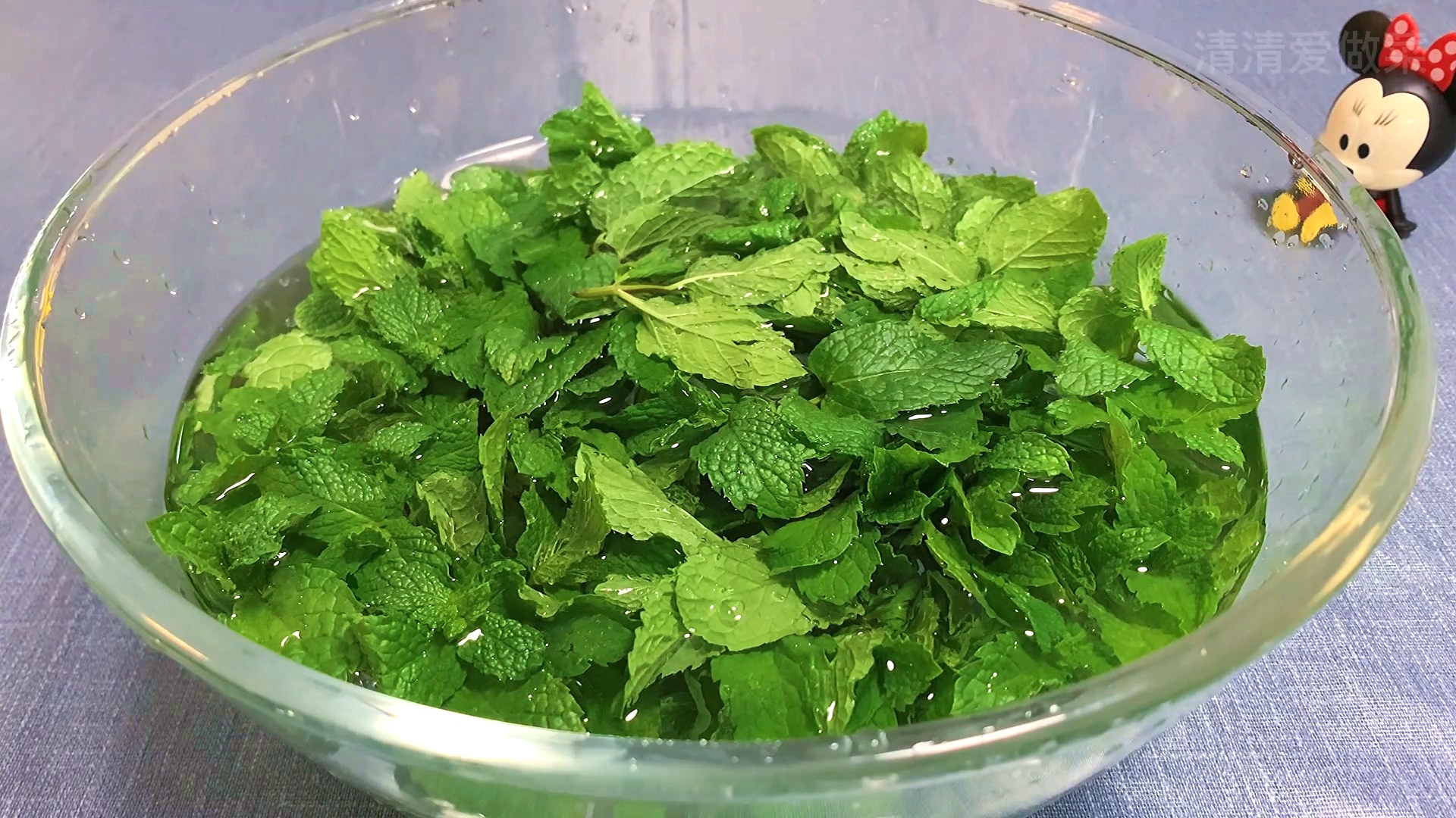 不同种类薄荷的作用和功效有哪些,薄荷种类及功效与作用