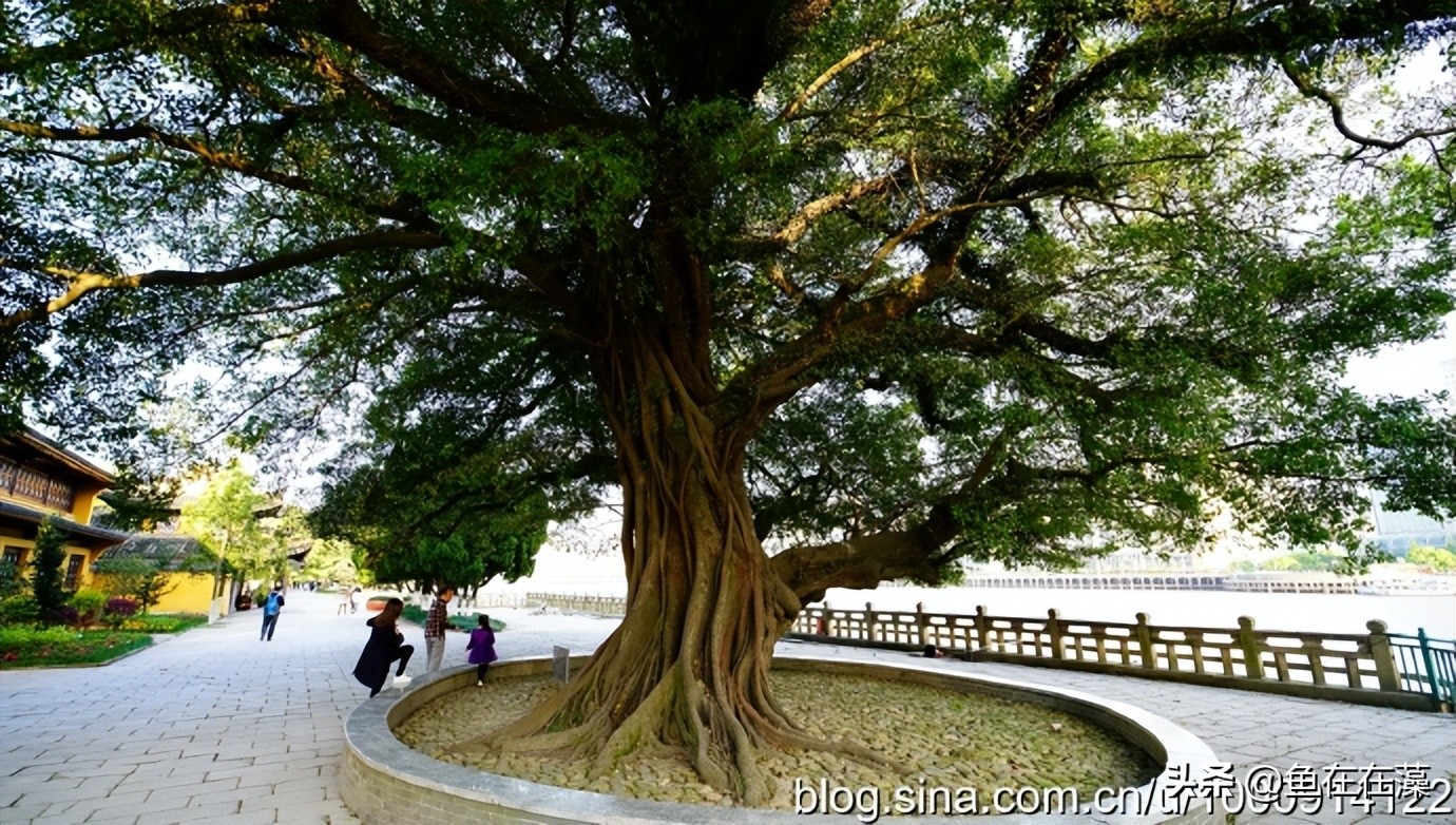 温州郑振铎纪念馆,郑振铎温州