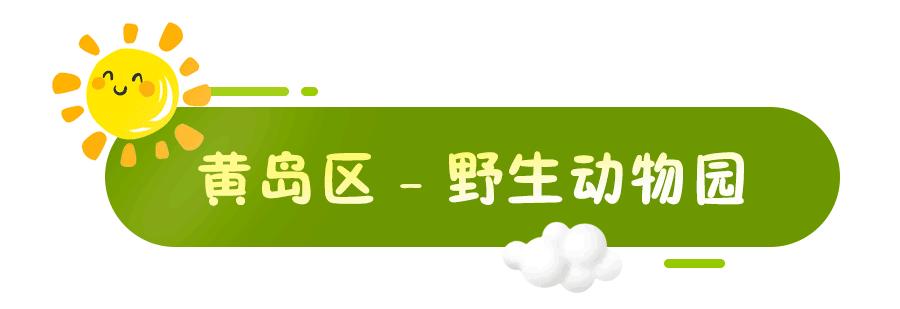 周末遛娃好去处海边青岛,青岛石老人浴场到青岛海底世界