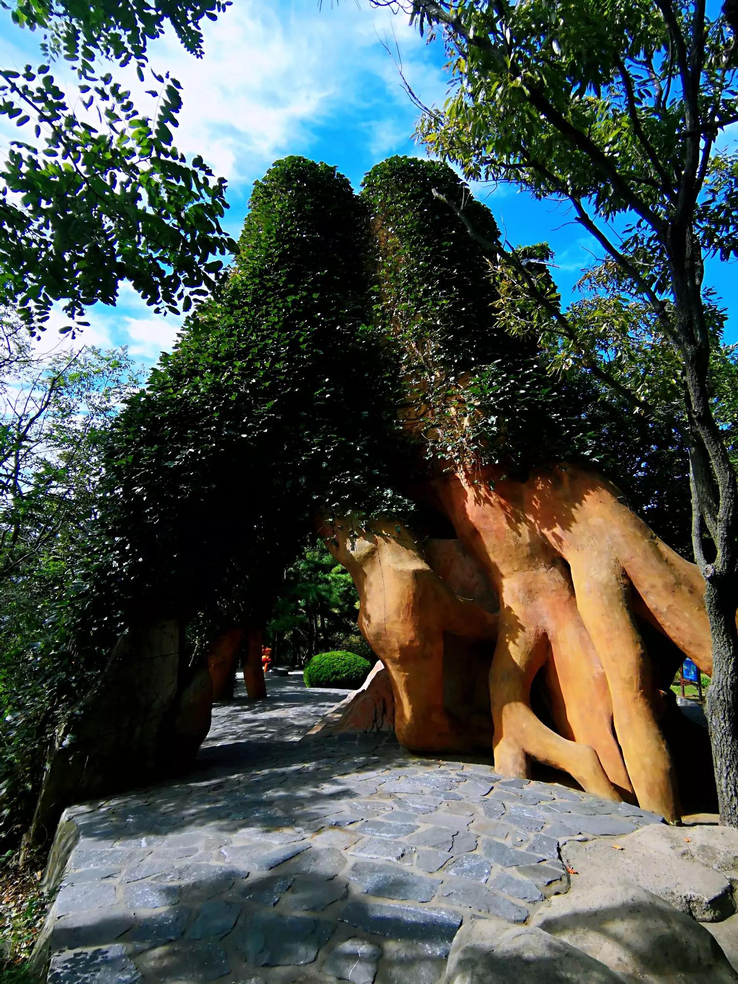 回眸秋日走过的大连青山碧海（二）（大连石槽至星海广场）