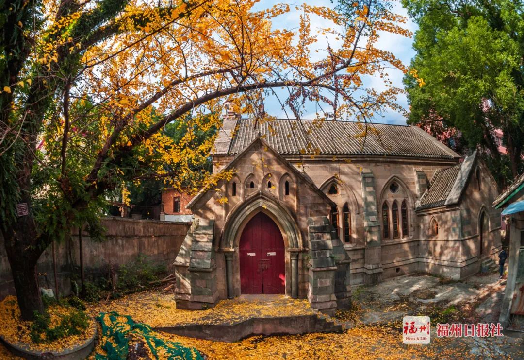 福州可以直达香港吗,福州直达香港多少钱