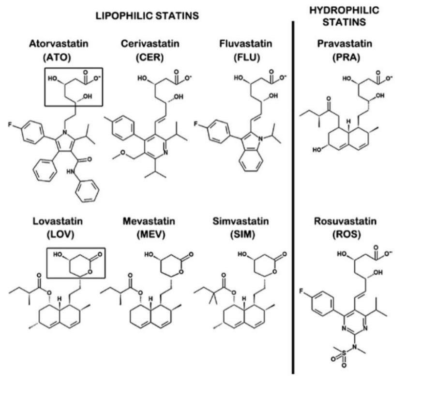 专栏|知名投资专家柳达：化学药的开发有无范式？
