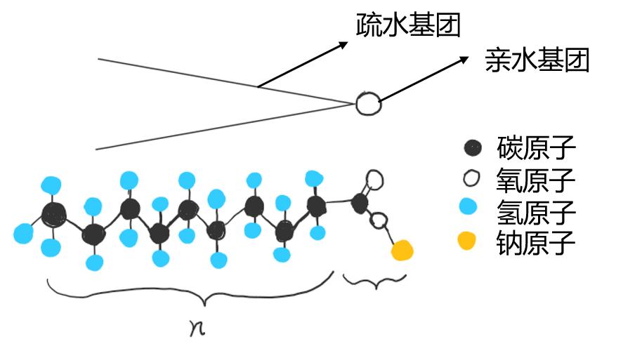 美丽神奇的肥皂泡,肥皂泡不能说的秘密