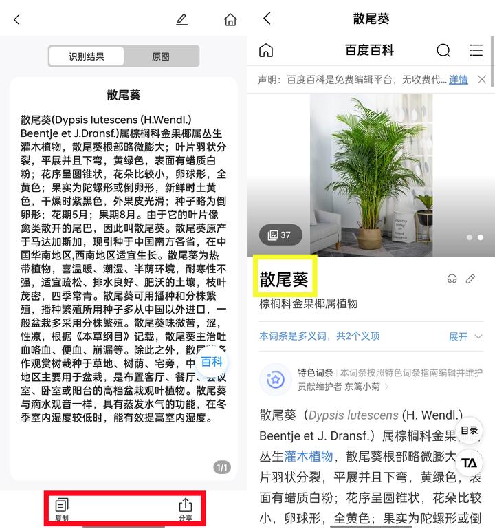 有了这4款app，识花，认鸟，觅虫，观星，样样都行!