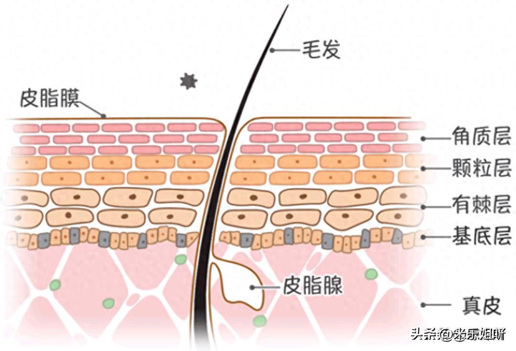 羽绒被暴晒会长虫子吗,羽绒被暴晒还有味道吗