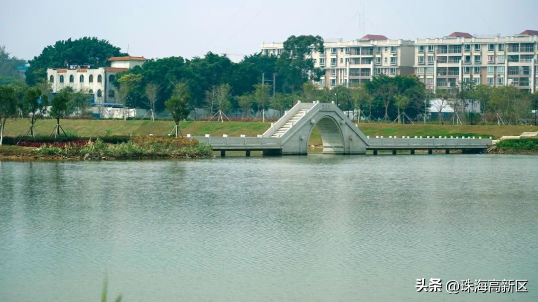 遛娃必看！这些春日色彩，就藏在高新区的公园里…