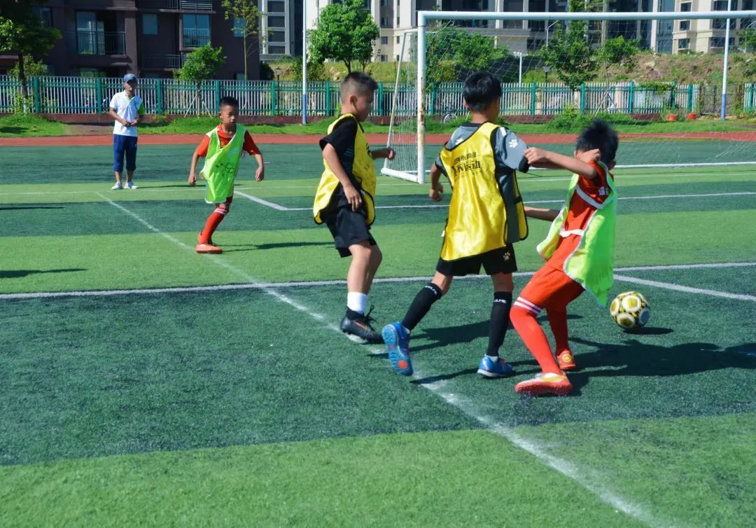 派迪茵体育产品,派迪茵体育直播