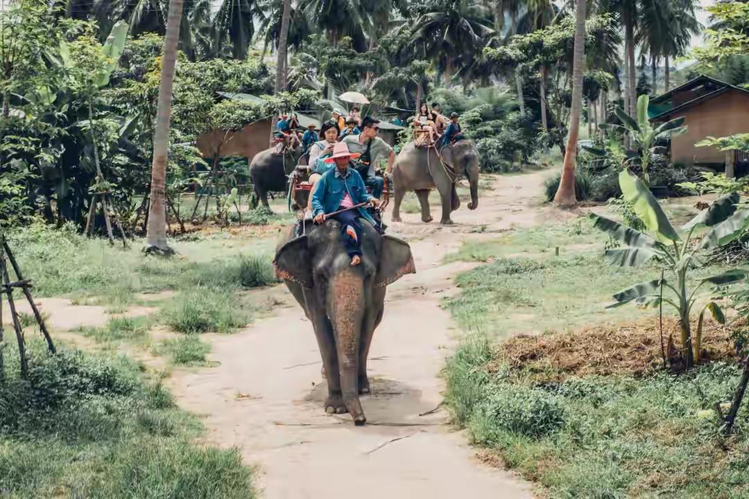 泰国旅游会被噶腰子，旅游天堂变人间地狱：泰国总理亲自回应来了