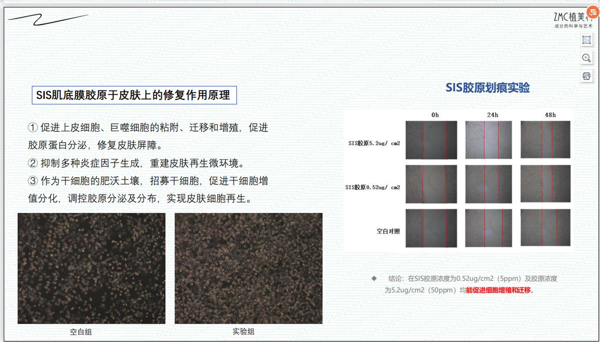 植美村护肤沙龙系列重磅上市,植美村的新品有哪些