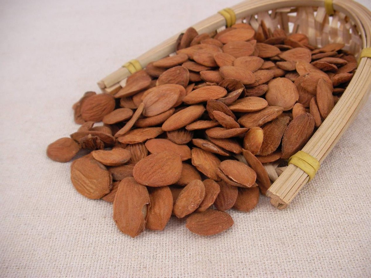 中医治疗中风中经络（气虚血瘀）验方一首，益气活血、扶正祛邪