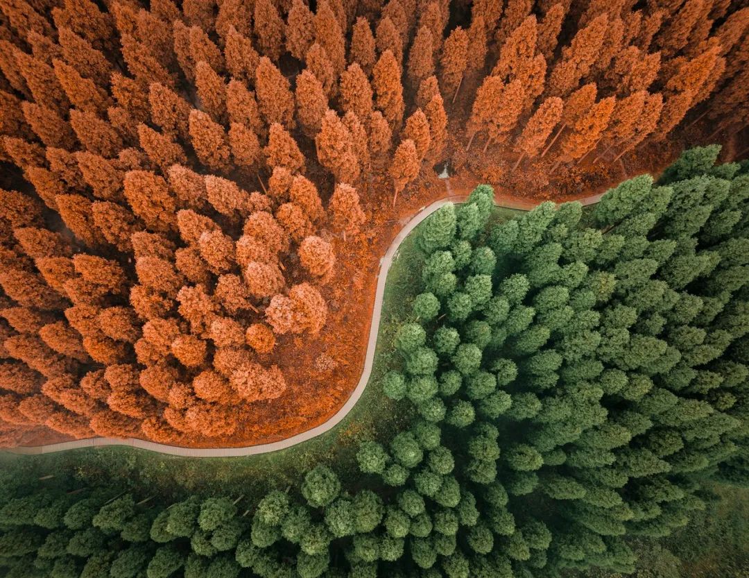褰窞鐧介箍灏忛晣闇嶆牸娌冭尐,褰窞闇嶆牸娌冭尐
