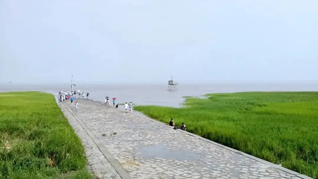 适合看海的城市排行,去哪个城市看海性价比高