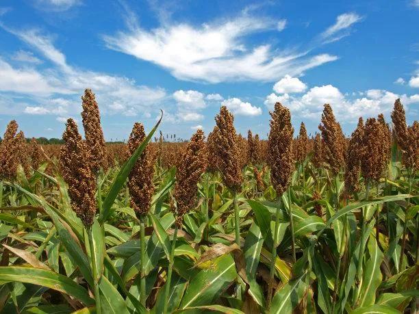 时光涟漪:天选之人，身患银屑病的美貌堂姐现实版活着