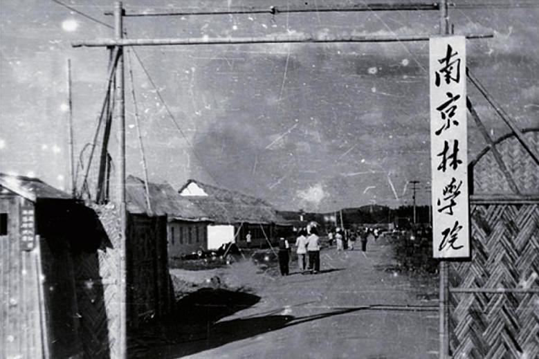 百廿风华，岁月成卷！2023，南京林业大学“新篇章”由你执笔开篇！