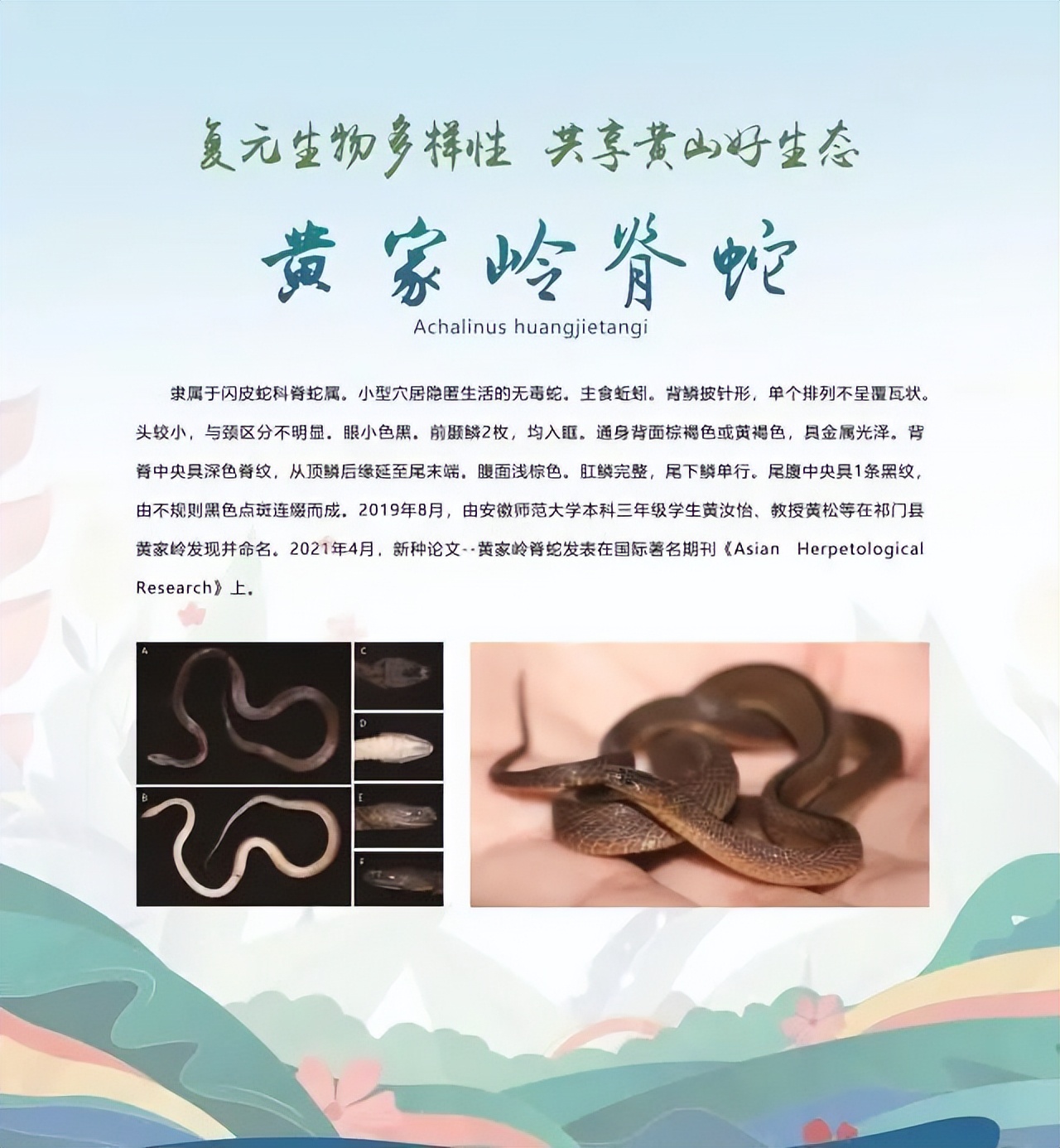 合肥二十种人气美食,合肥好吃的美食排行榜海鲜