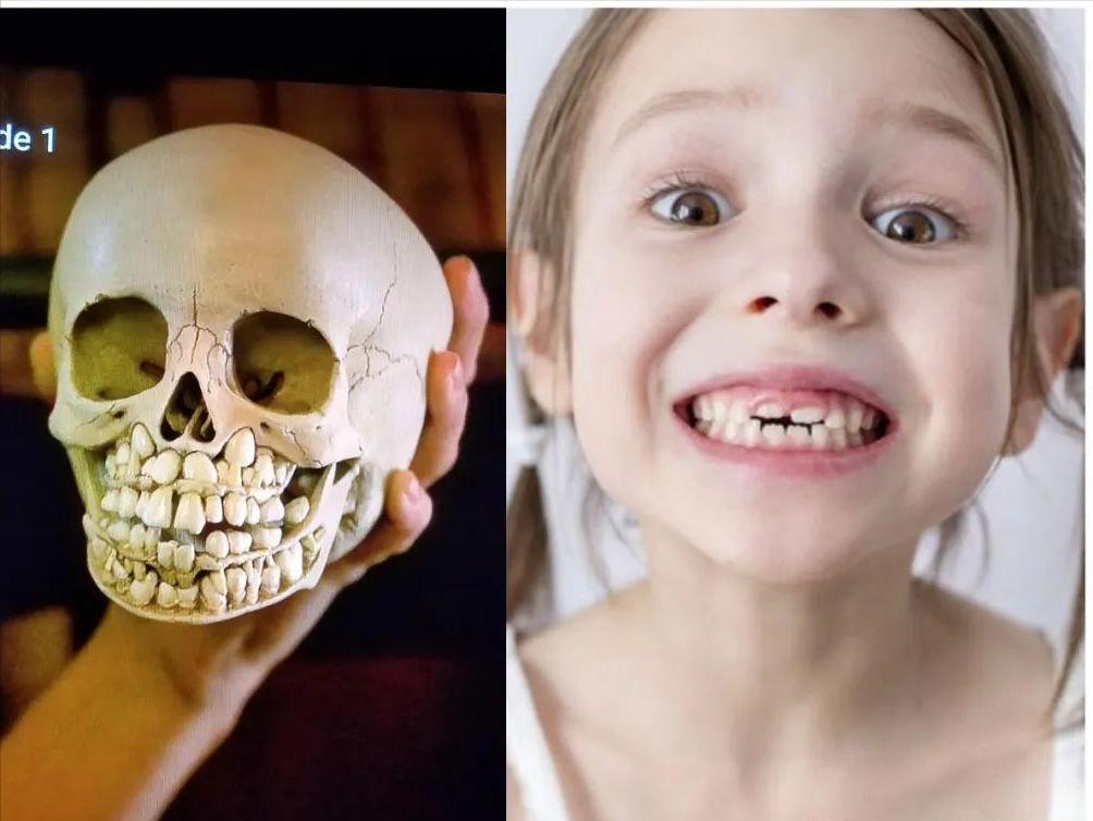 一大波荒诞事实：全世界最大的*丸睾**，阴道里“长牙”的传闻