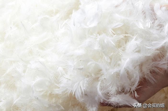 沙发怎么选才是正确的,沙发到底应该怎么选