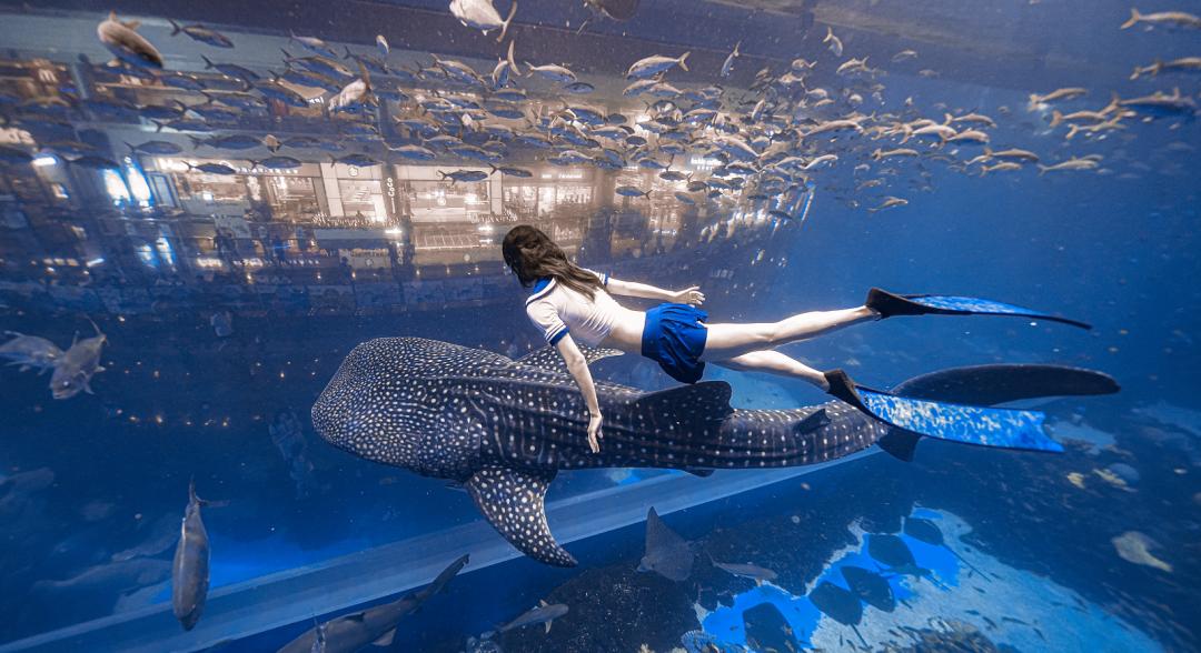 成都家门口的运动场,成都家门口运动空间