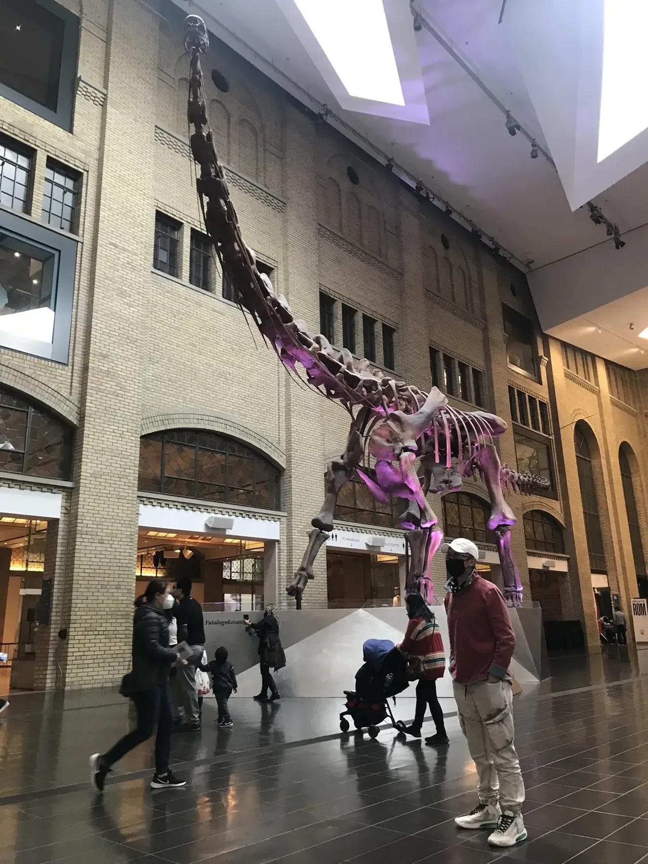 金融街电讯专访杜猛,金融街杜猛最新信息