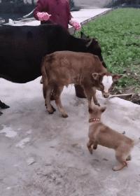 “易孕体质是种什么样的感受？”哇哈哈哈哈太真实了: