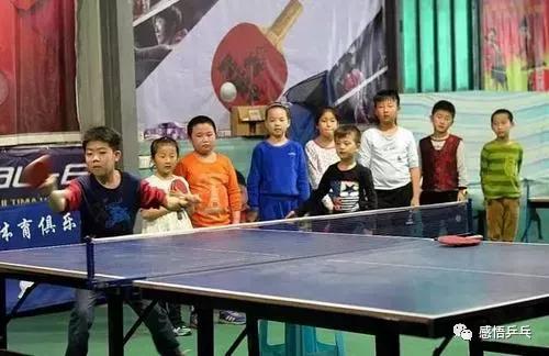 乒乓球是最省钱的运动吗,乒乓球最便宜的配置