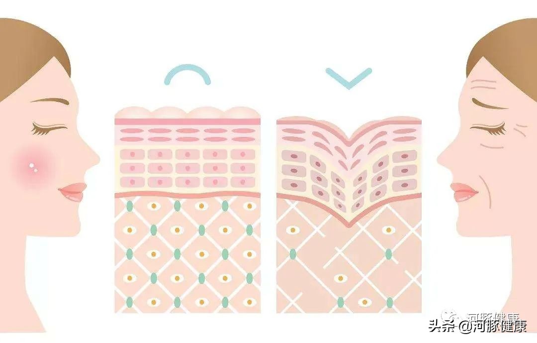 快看看你们的面膜成分,面膜硬核评测